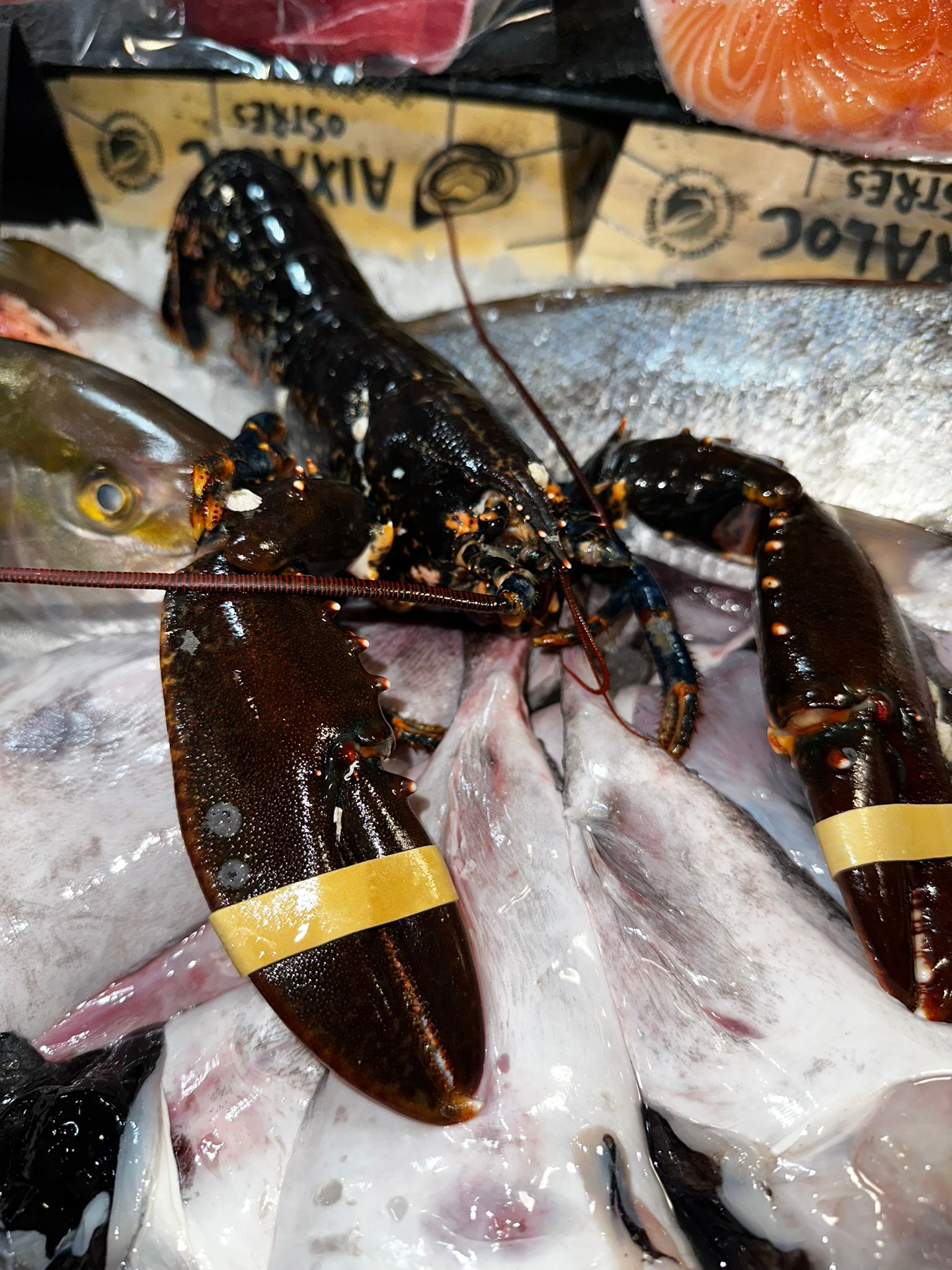 Images Peixateria de la Iaia Antònia