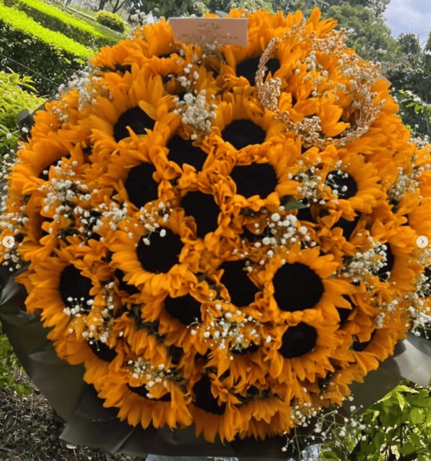 Images Rainbow Flowers Fullerton