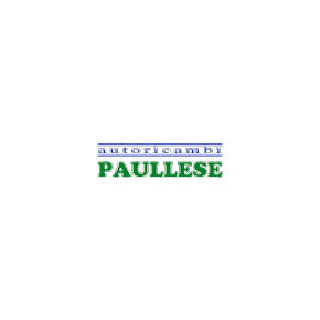 Autoricambi Paullese Logo