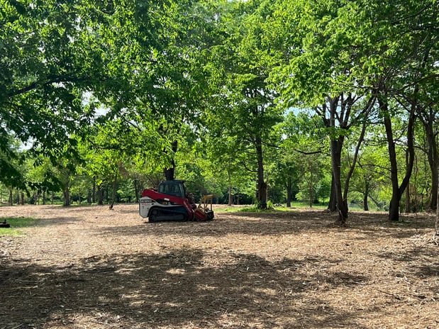 Images RED'S Forestry Mulching