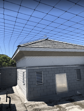 Images Delta Pest Services Inc.