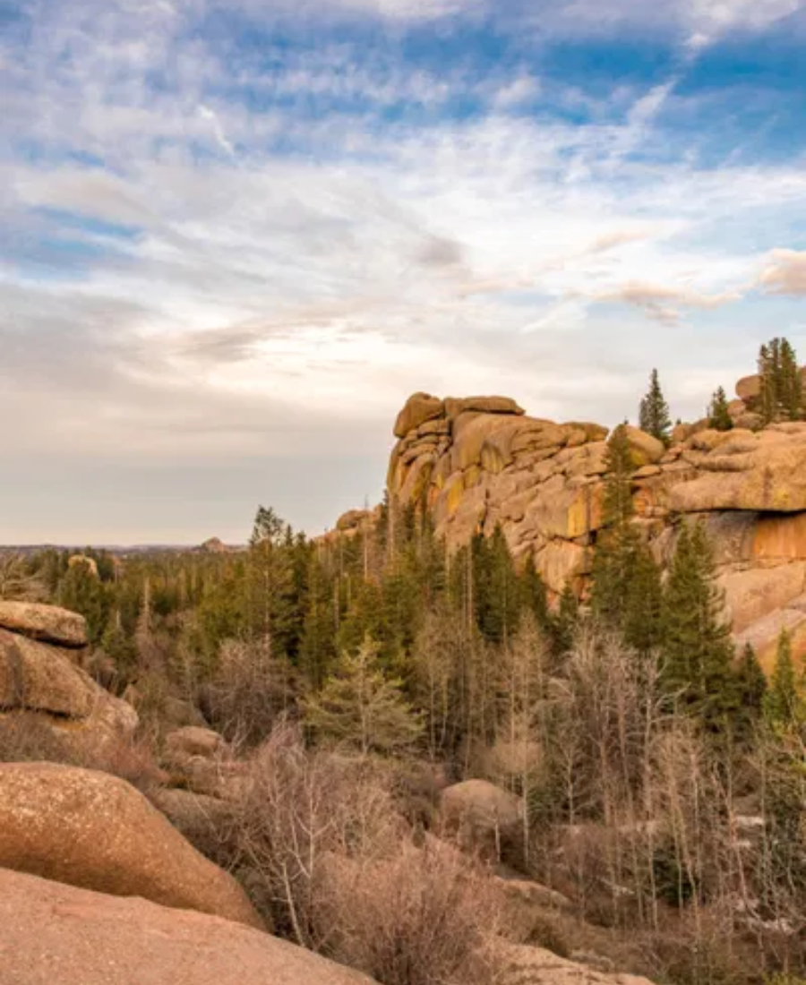 Laramie River Realty Co.