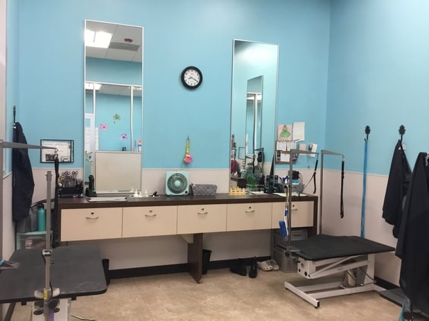 Images Petco Grooming