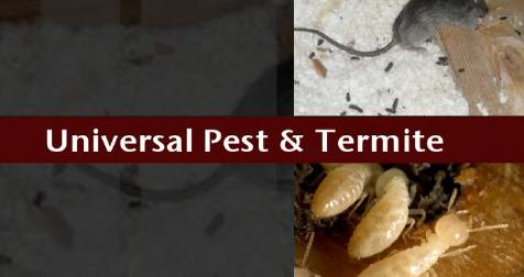 Universal Pest & Termite offers free inspections for termite control, pest control, moisture control  and more in Virginia Beach and surrounding cities. www.universalpest.com