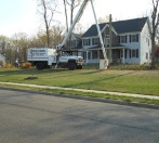 Images ArborVision Tree Service