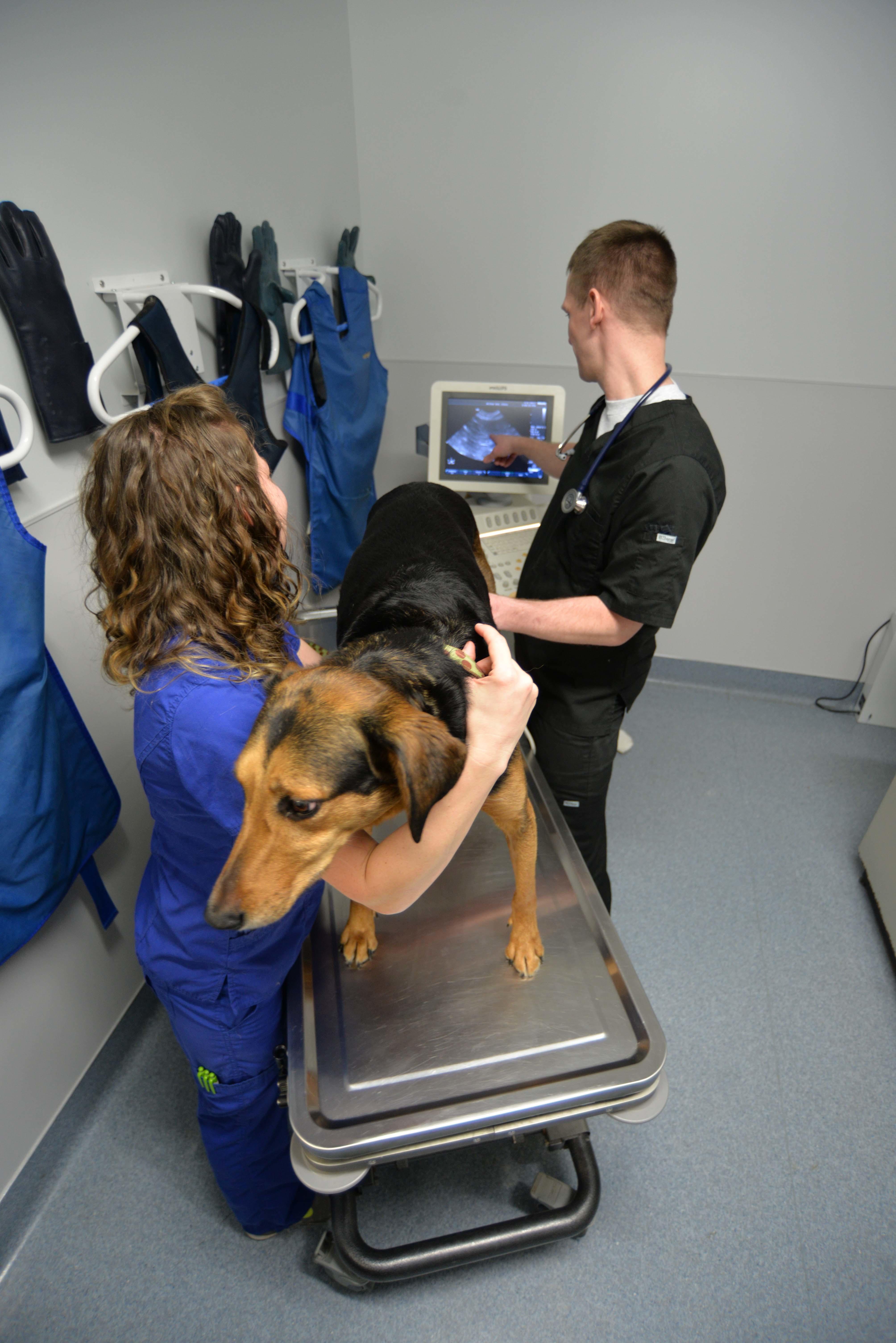 Our facility is fully equipped with advanced technology to best serve you and your pet. Here, traine Archer Veterinary Clinic Lemont (630)257-5121
