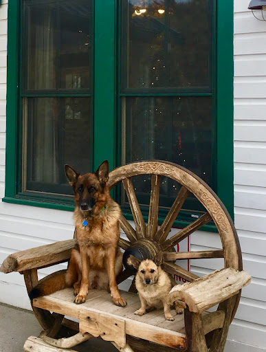 Chico Hot Springs Resort & Day Spa Image