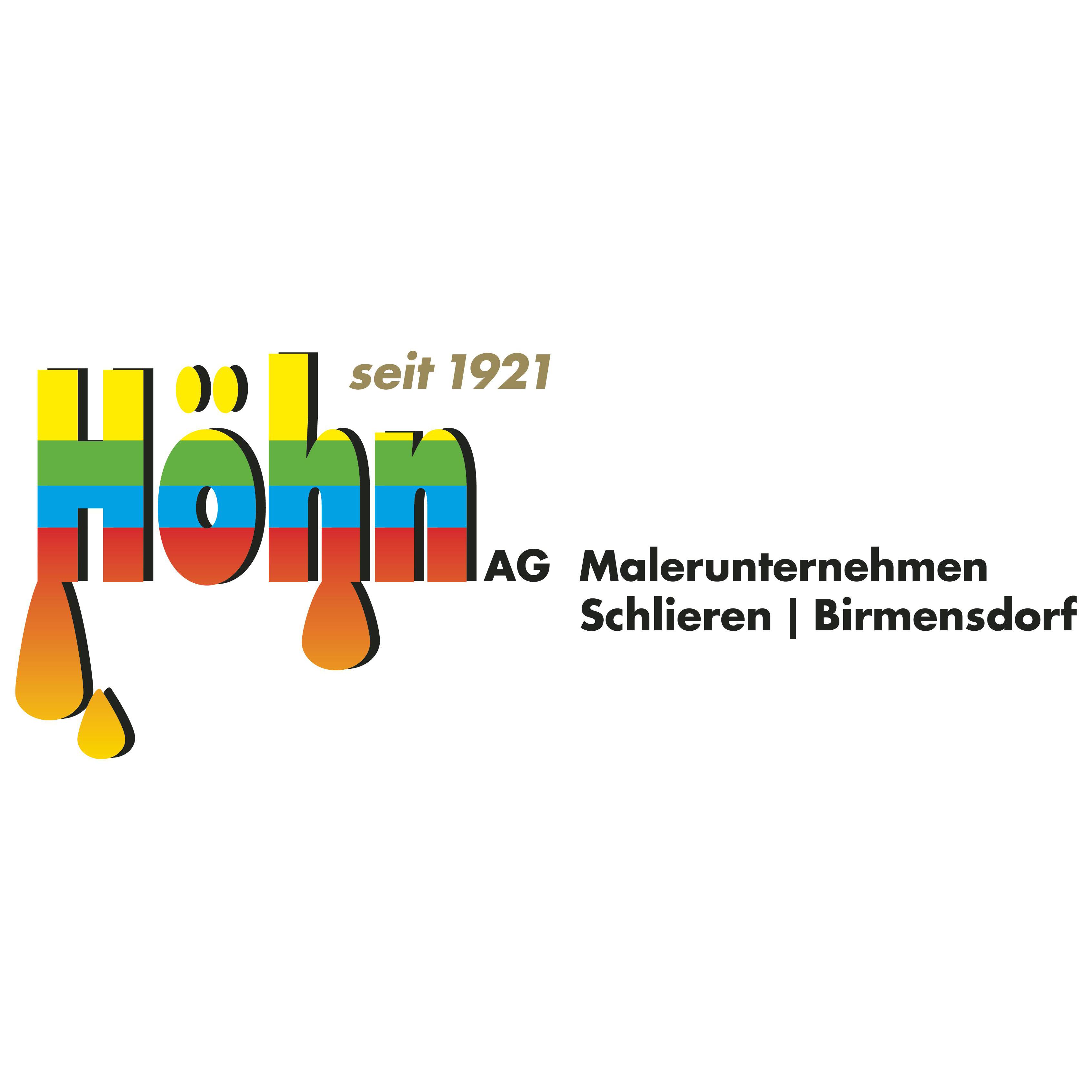 Höhn AG Malerunternehmen Logo