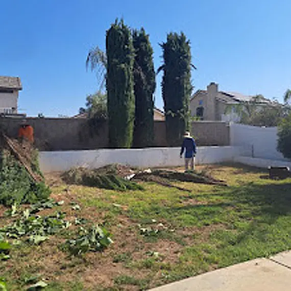 JV's Gardening & Tree Services- Lawn Maintenance