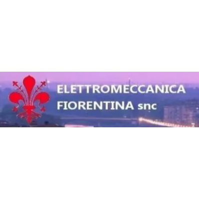 Elettromeccanica Fiorentina Logo