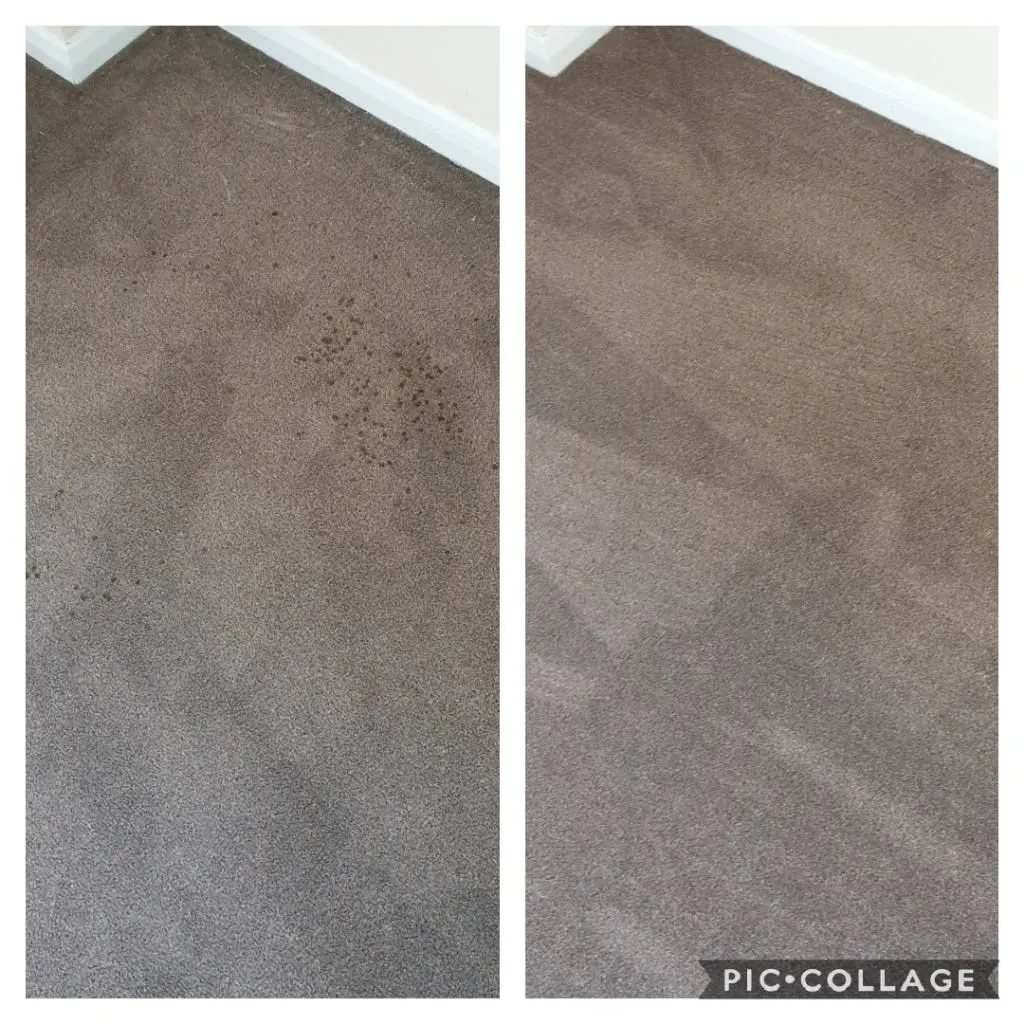 Images Titanium Cleaning
