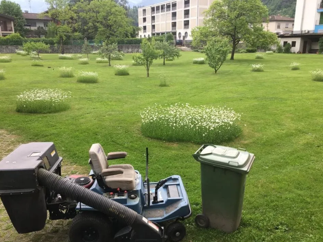 Bilder Biava Mattia - Giardiniere paesaggista