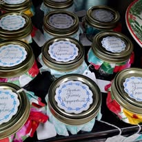 Good Vibe Tribe Creators Image