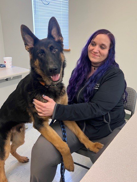 Images VCA Green Animal Hospital