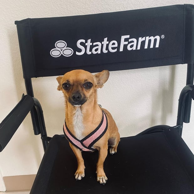 Images Kalynn Tindall - State Farm Insurance Agent