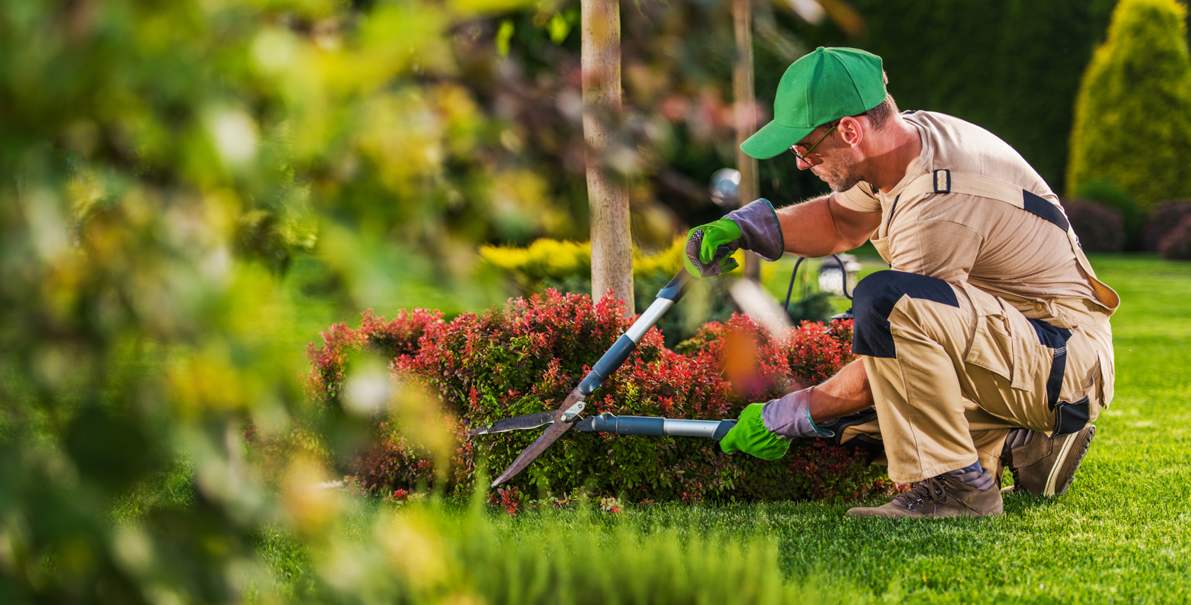 Triple T Lawn Rehab LLC Image