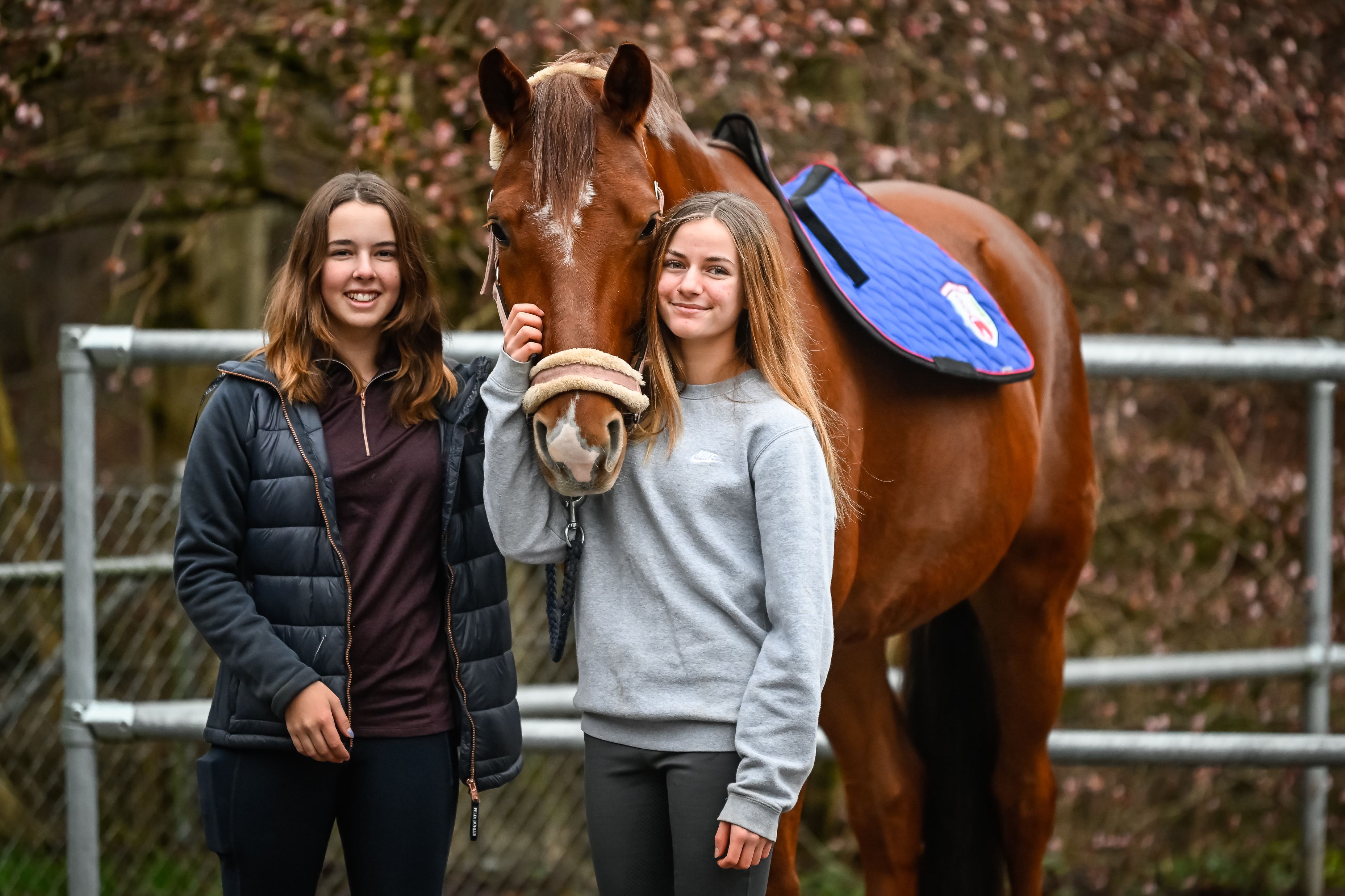Bilder Reitsportzentrum St. Josefen AG