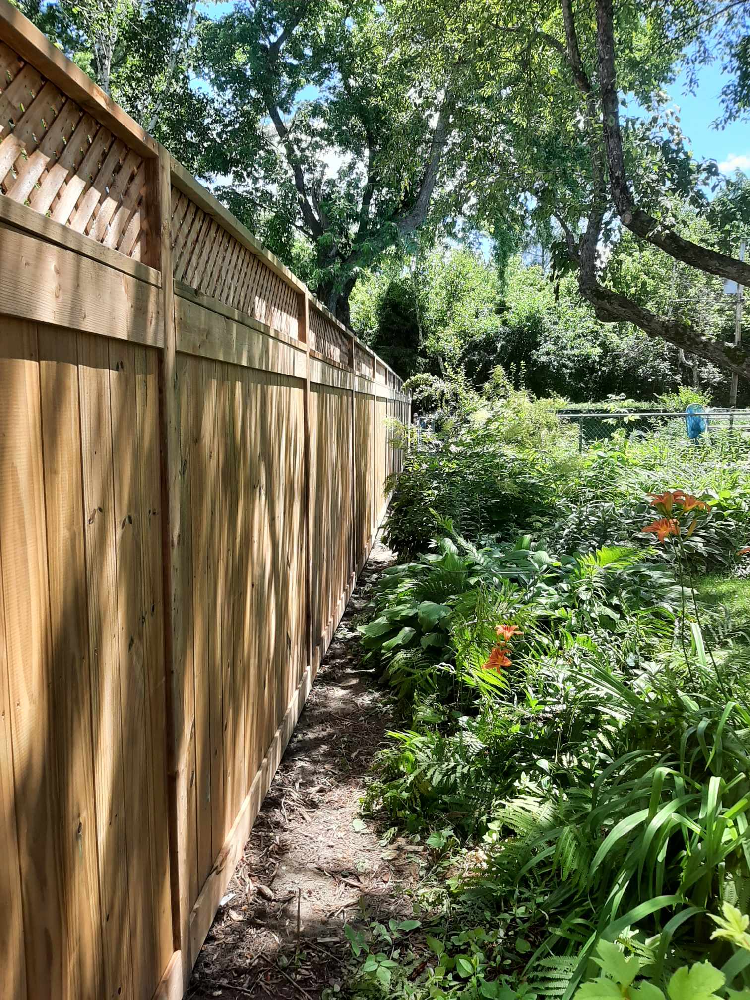 Images Rejuvenation Renovations