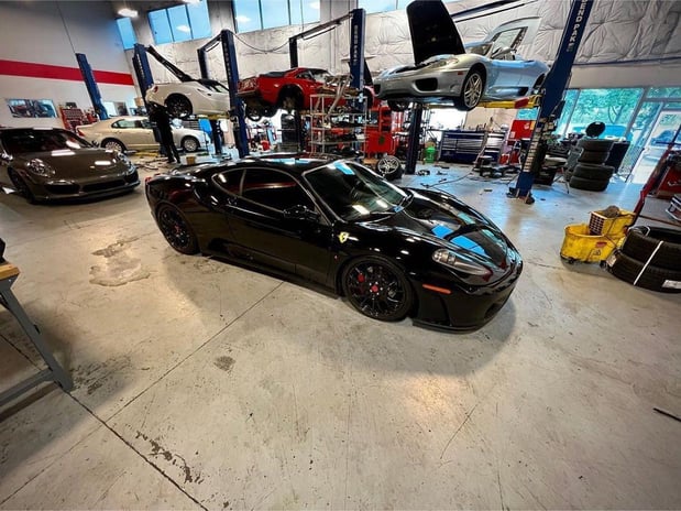 Images Loudoun County Exotics