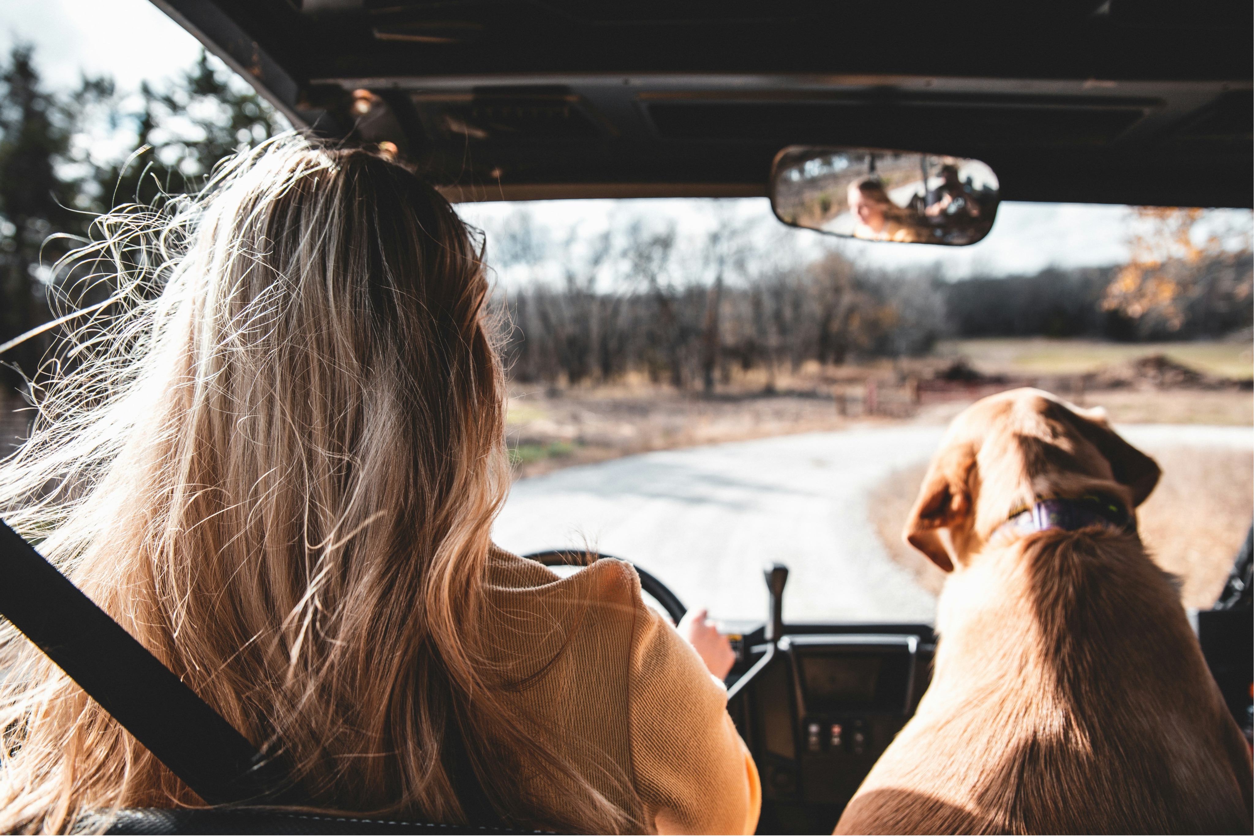 Freedom is just one drive away. Drive JAPPii . JAPPii.com
