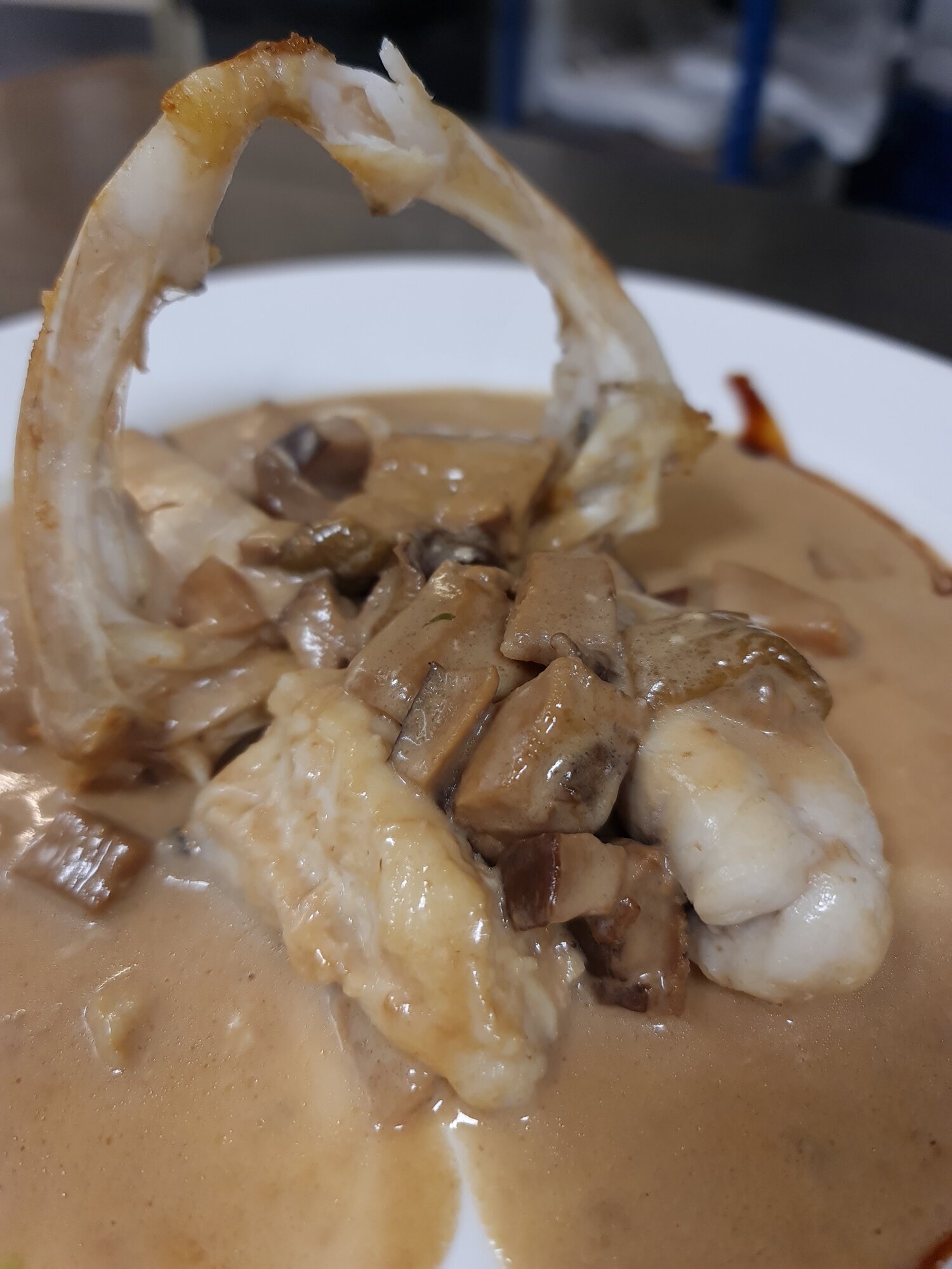 Images ATXEGA JAUREGIA JATETXEA SL