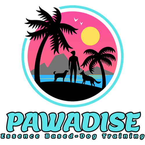 Pawadise Logo