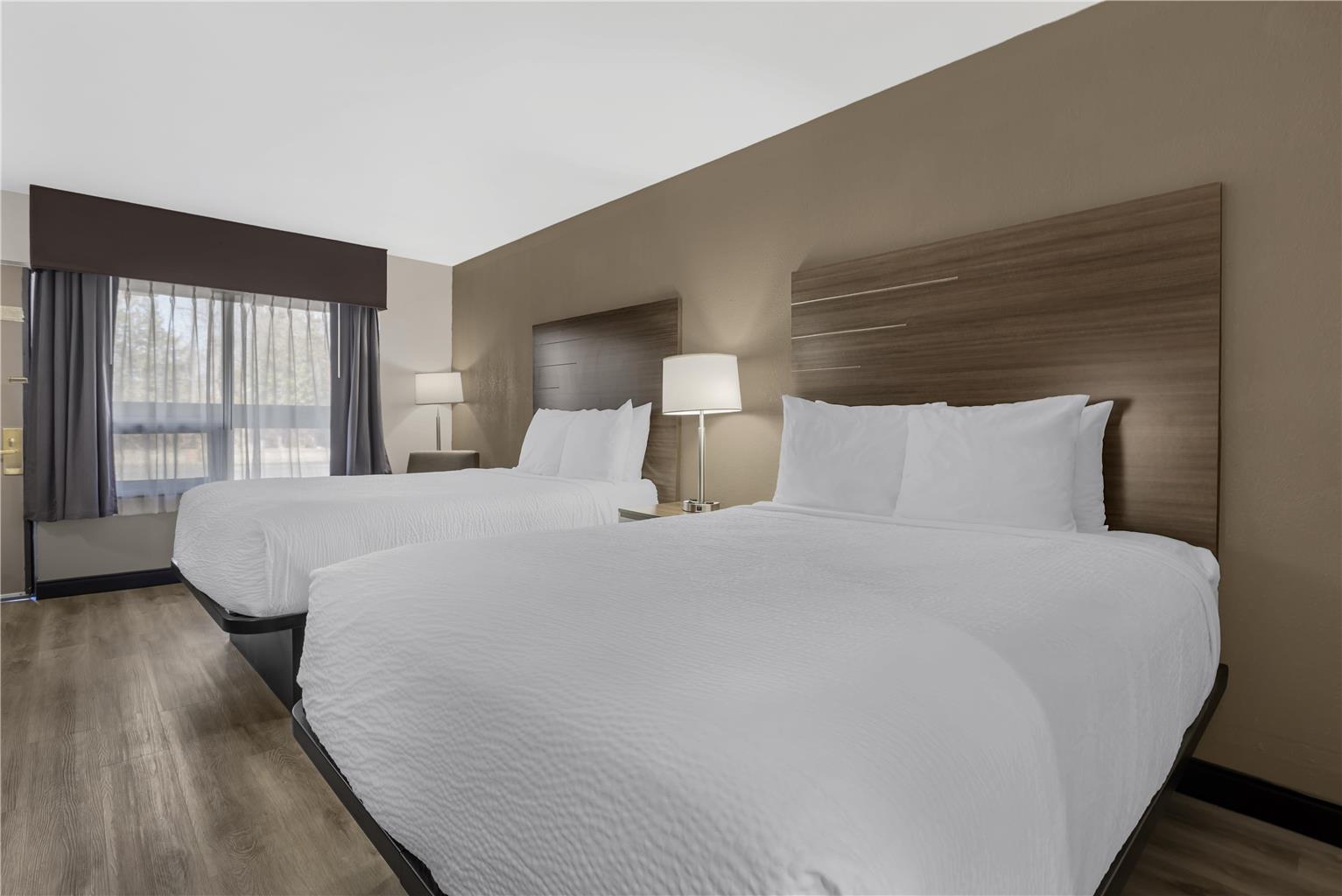 Double Queen - Pet friendly