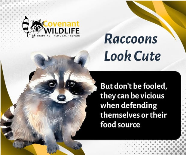 Images Covenant Wildlife