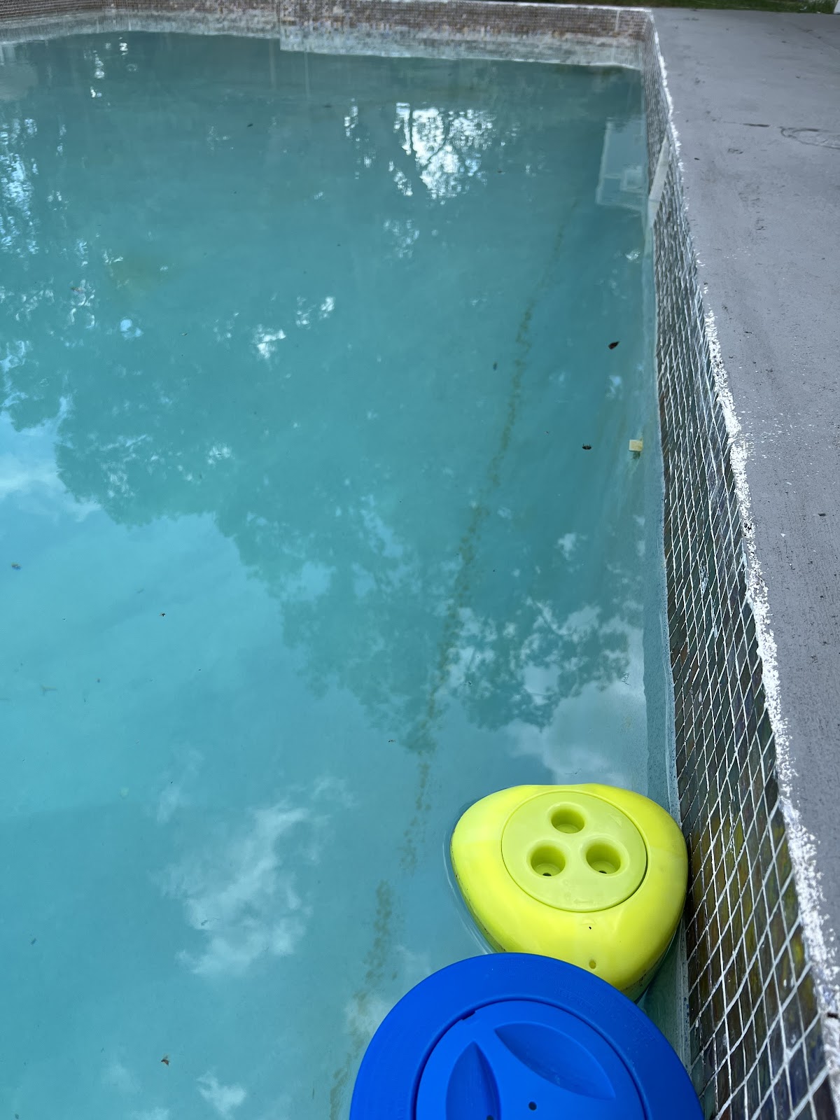 Close-up of a swimming pool with cloudy blue water, floating chemical dispensers, and visible debris near the edge.