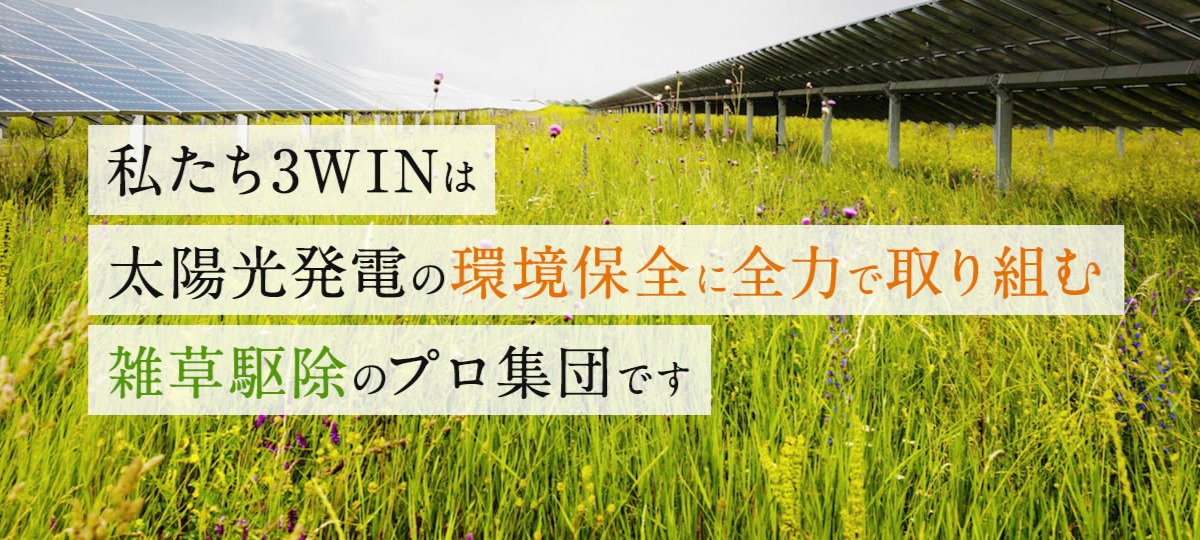 Images 便利屋&リフォーム まごのて便利サービス（株式会社3WIN）