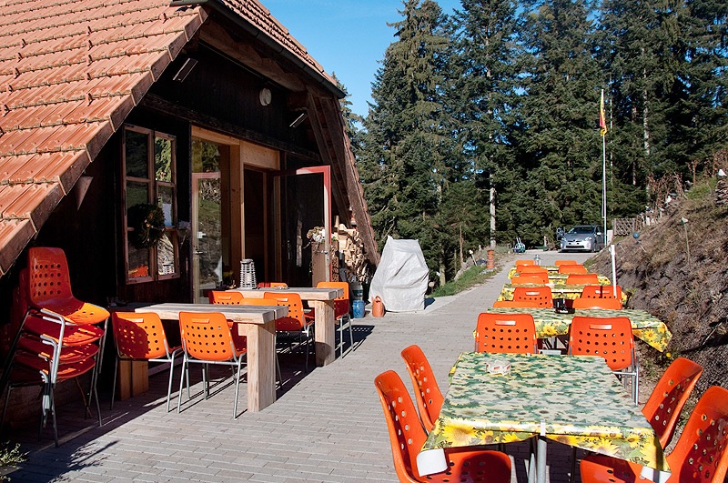 Bilder Waldrand Beizli