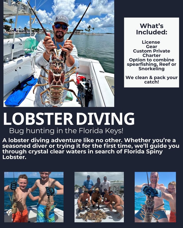 Images Above & Below Fishing Adventures - Key West & Lower Keys Fishing Charters