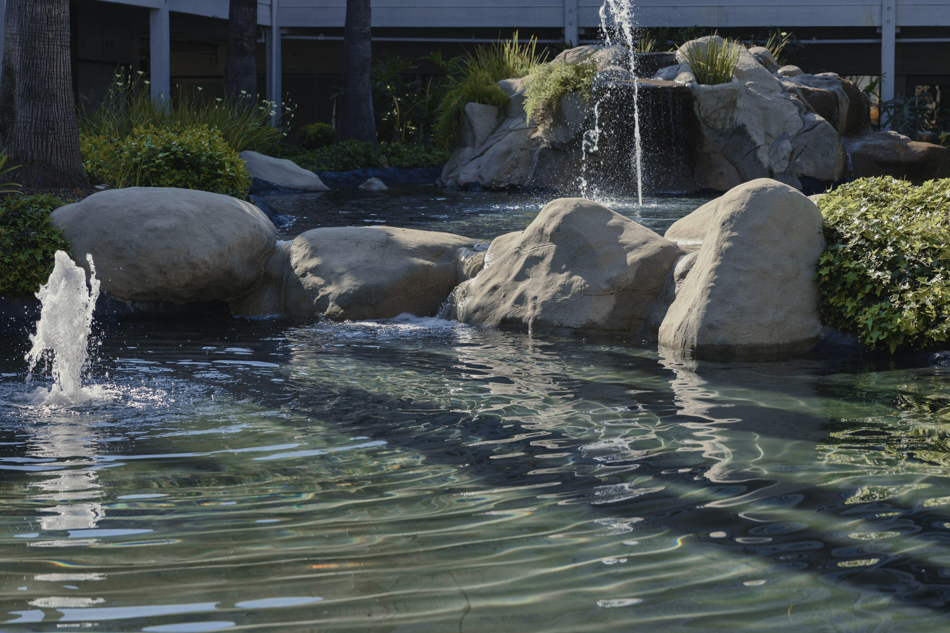 Outside of Elmira Studio in Westlake Village.