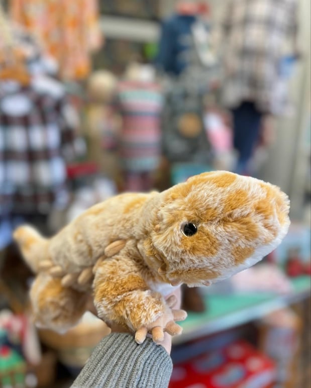 Images Toodleydoo Toys