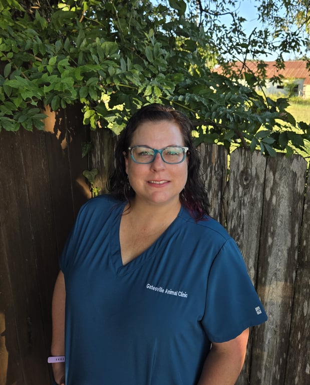 Images Gatesville Animal Clinic, LLC