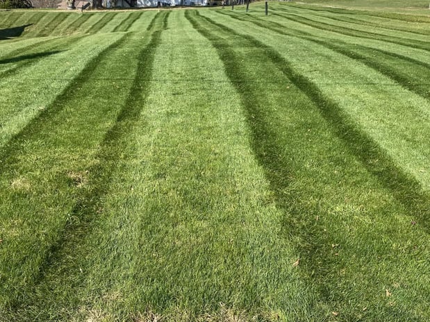 Images Cedar Creek Lawn and Landscaping
