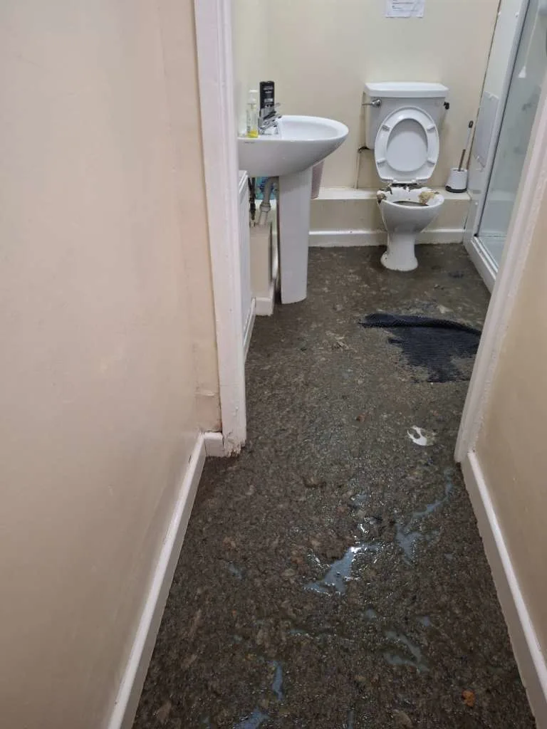 Images Belgravia Cleaning Services Ltd