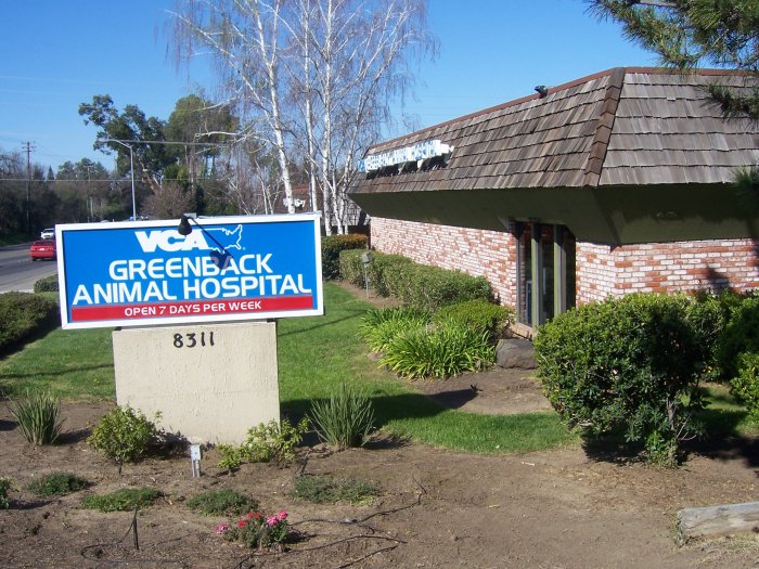 Images VCA Greenback Animal Hospital