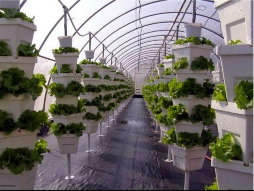 Growbox WR design & trade GmbH, Altelsweg 9 in Uetendorf