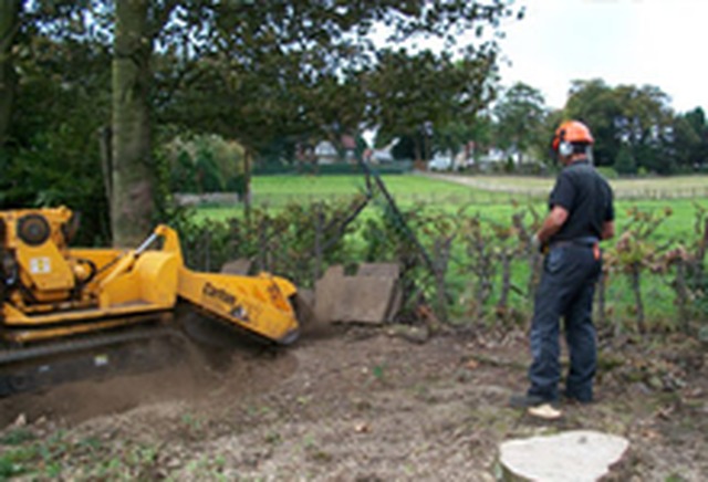 Images Yorkshire Tree Contractors Ltd