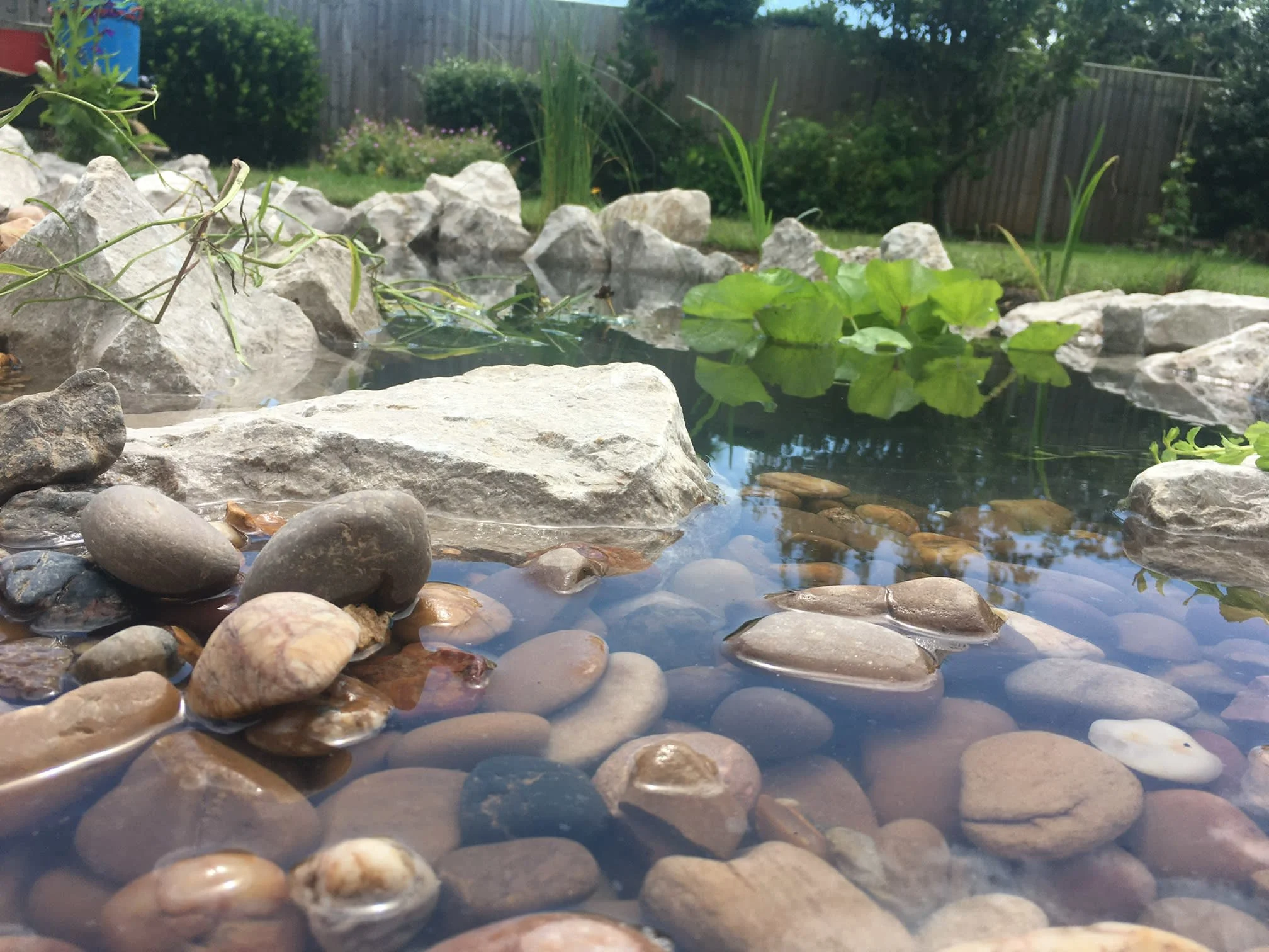 Images Glorious Ponds