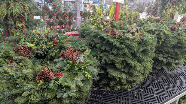 Images Louisiana Nursery