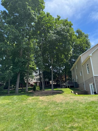 Images ER Tree Services LLC