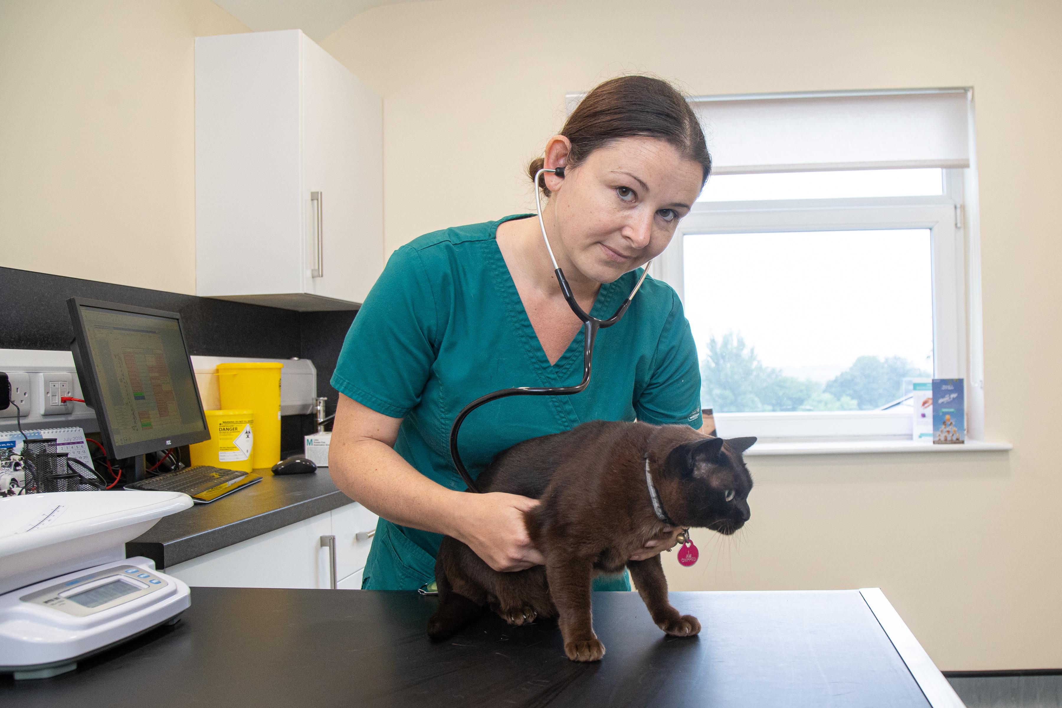 Images Willows Farm Animal Veterinary Practice