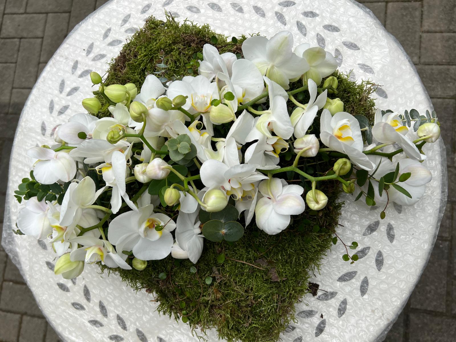 Kundenfoto 16 Kitzinger Blumen und Pflanzen