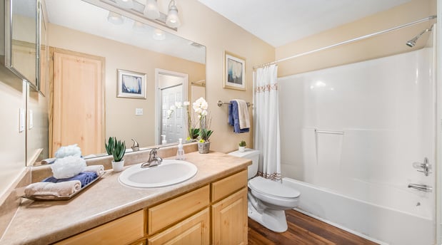 Images MAA Providence Main