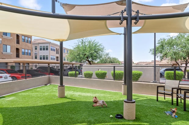Images Camden Foothills Apartments