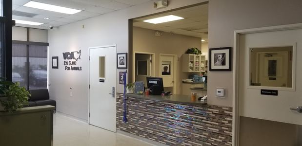 Images VCA Eye Clinic for Animals