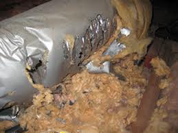 Rodents chewing through air duct lines can be a costly infestation. Call Universal today for a free inspection.