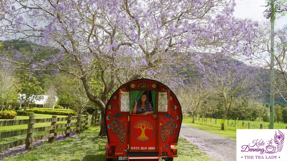 Images The Spiritual Realm with Kate Denning